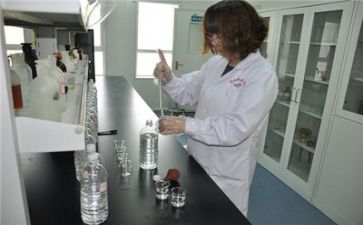 质量报告述职报告优质6篇