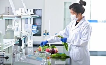 质量报告述职报告8篇