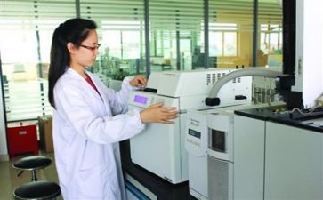 2024年质量个人总结优秀5篇