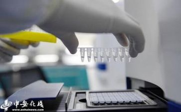 个人质量工作报告8篇