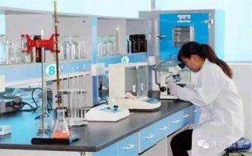 抓质量的工作总结参考7篇