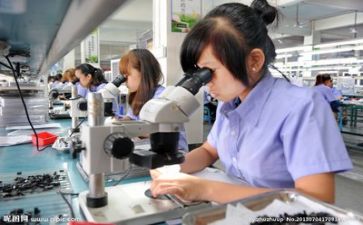 2024年质量个人总结通用7篇