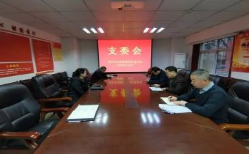 2024年党支委述职报告6篇