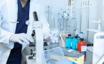 律师执业情况年度总结6篇