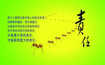 履行职责情况工作报告7篇