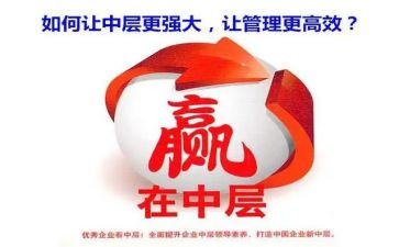 中层干部的工作总结7篇