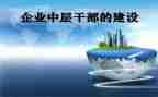 中层干部的工作总结范文6篇