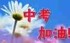 关于中考感想的作文优质8篇