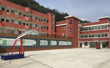 中心校长述职报告6篇