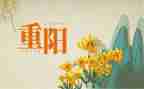重阳敬老节的演讲稿6篇
