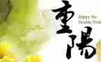 2024年小学重阳节活动总结优质8篇