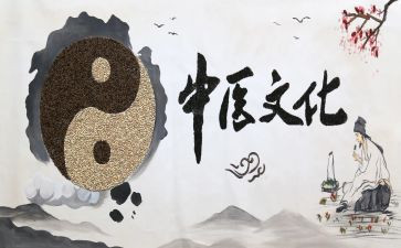 中医的个人总结8篇