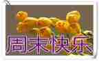 我的周末生活作文8篇