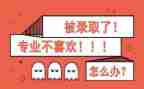转专业实习报告总结通用8篇