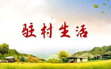 驻村队长述职报告5篇