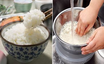 我煮饭作文精选6篇