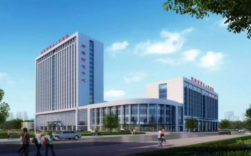 住院总医师的工作计划8篇