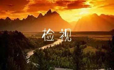 安全自检自查报告模板6篇