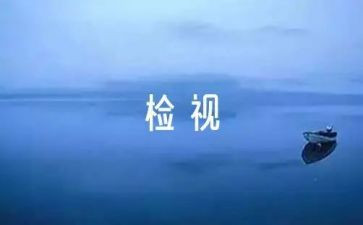自检自查报告最新6篇