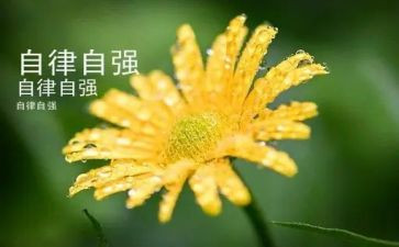 自立自强主题演讲稿5篇