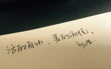 为了自由呼吸的自由读书心得体会6篇