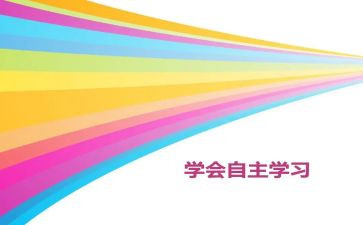 自主游戏桥心得体会8篇