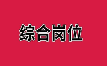 综合岗工作总结通用6篇