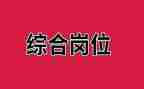 综合岗工作总结7篇