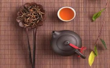 坚持根本宗旨发言稿范文5篇