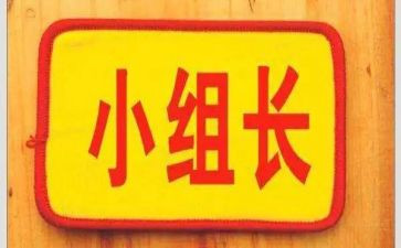 数学组长工作总结模板5篇