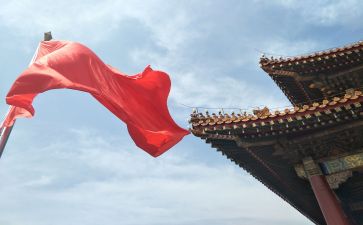 观我的祖国心得体会优质8篇