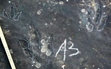 足迹作文6篇