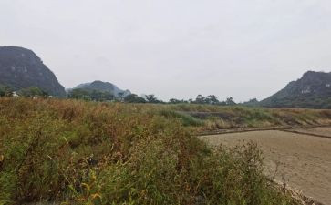 铺租赁合同模板8篇