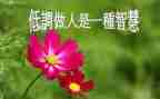 做人要实的心得体会5篇