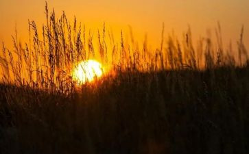 做自己的神读后感通用5篇