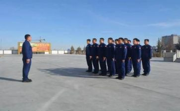 组训心得体会5篇