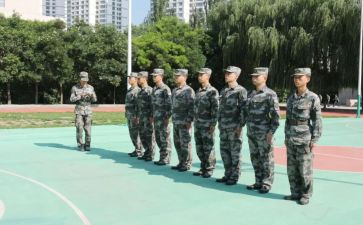 组训的工作总结8篇