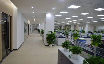 组织部组织室工作计划通用6篇